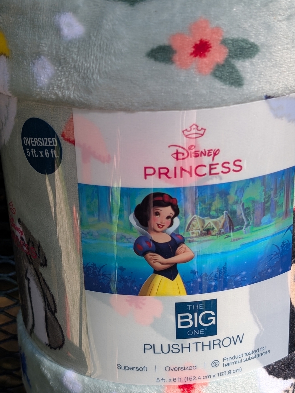 The Big One Disney Princess Plush Throw - Light Green with Pink Floral
